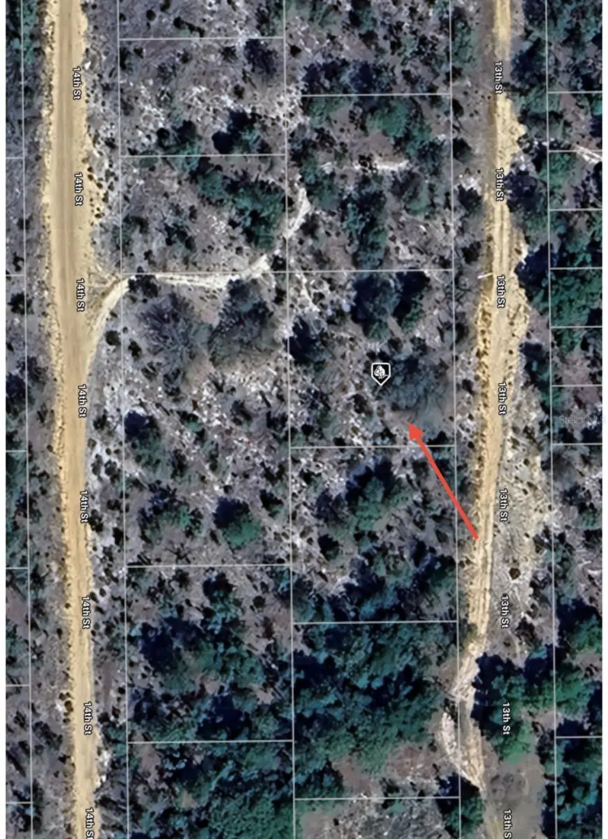 TBD 13th Street, Interlachen, FL 32148 - Image #2