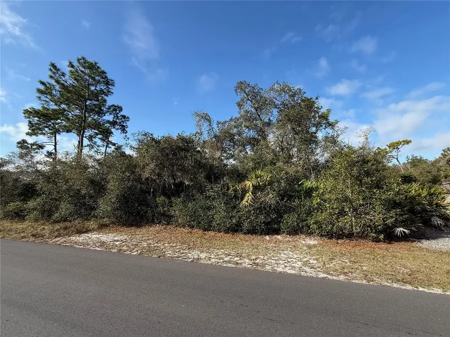 8th Avenue, Deland, FL 32724 - #3