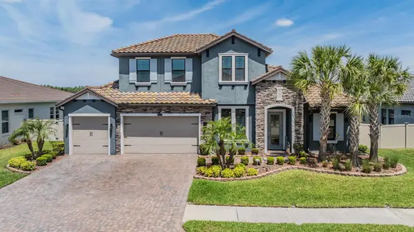 29043 Picana Lane, WESLEY CHAPEL, FL 33543