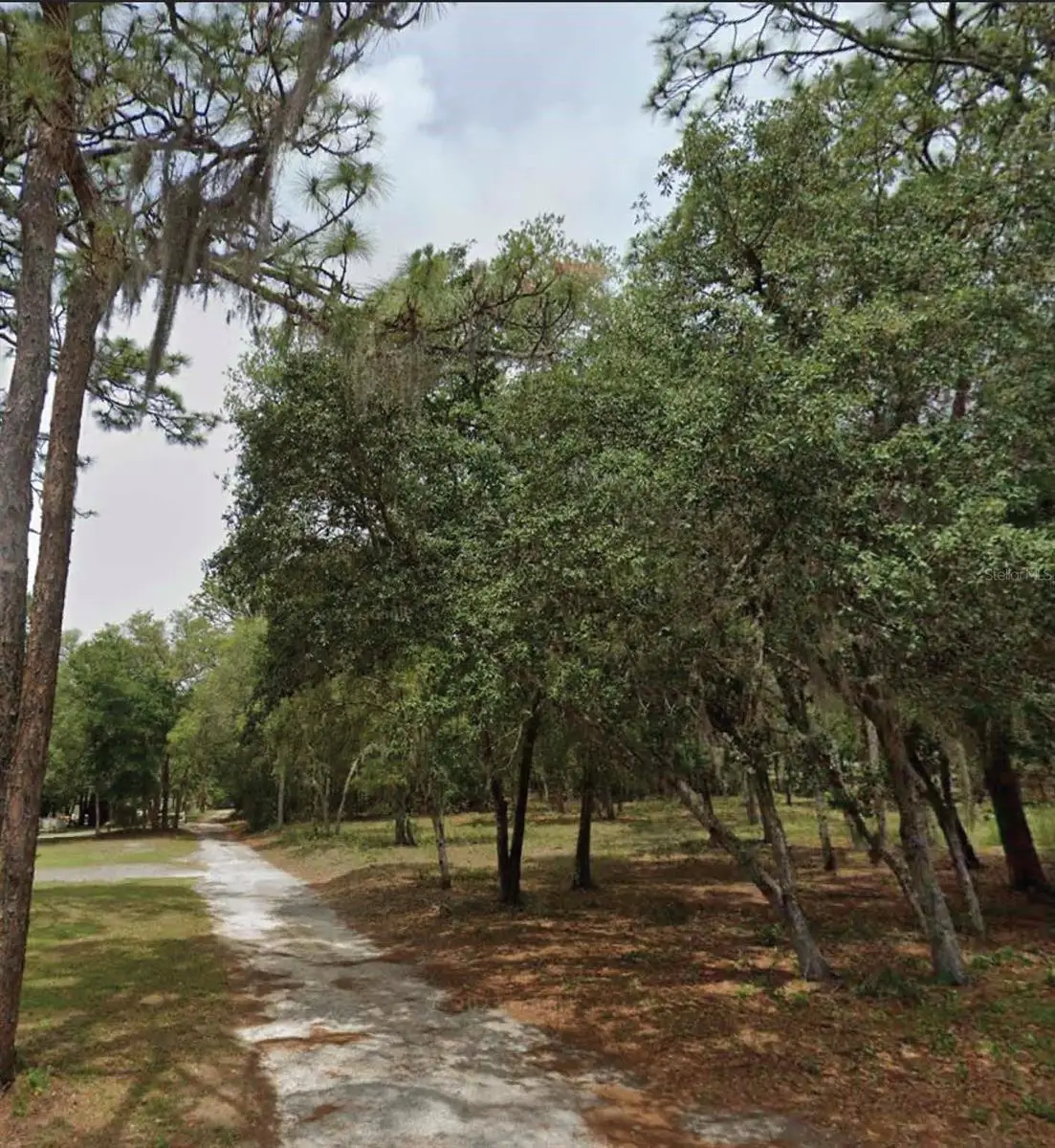 1163 E Canvas Lane, Hernando, FL 34442 - Image #1