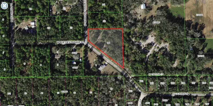 9075 N Orange Blossom Point, Crystal River, FL 34428 - Image #2