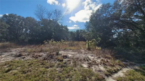 SW 131st Lane, OCALA, FL 34473