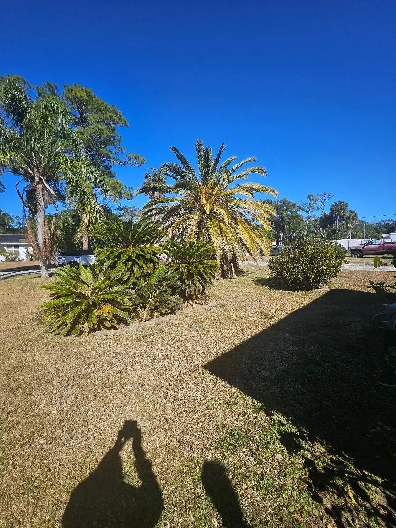 1123 Australia Avenue, Daytona Beach, FL 32114 - Image #2