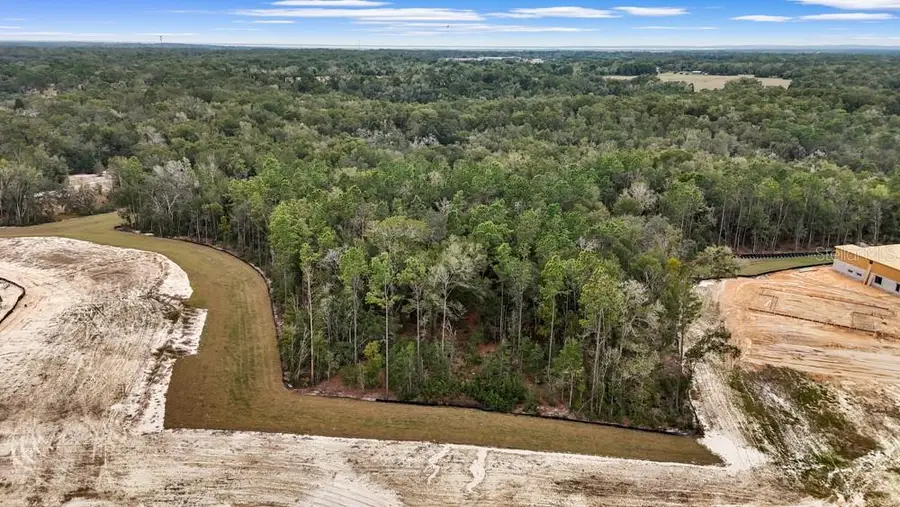 4683 Hilly Heights Drive, Mount Dora, FL 32757 - Image #3