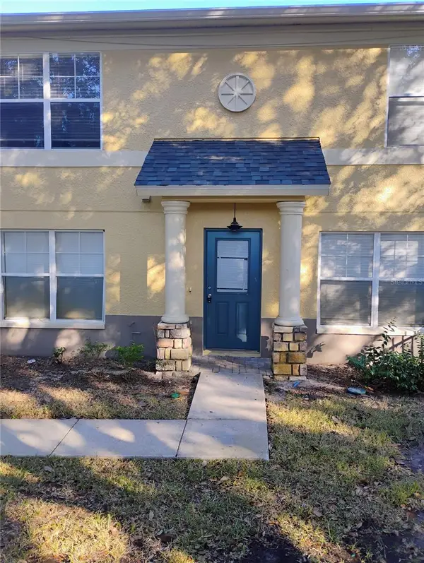 201 Draw Bridge Lane, VALRICO, FL 33594