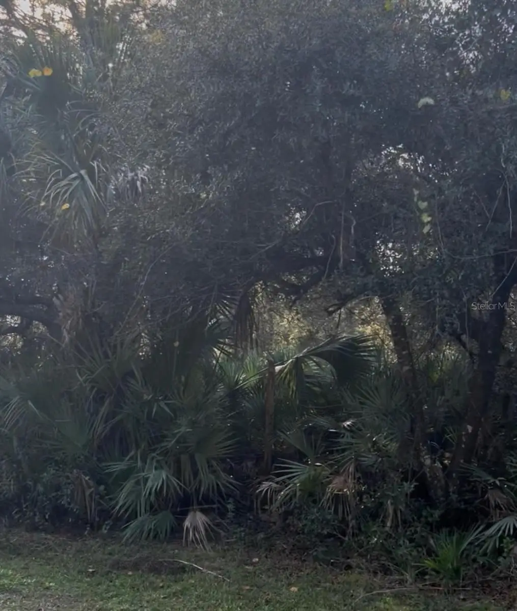 00 Dill Road, Orlando, FL 32820 - Image #1