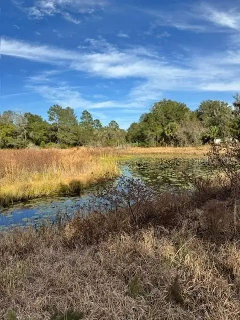 201 Lake Molly Avenue, Deland, FL 32724 - Image #2