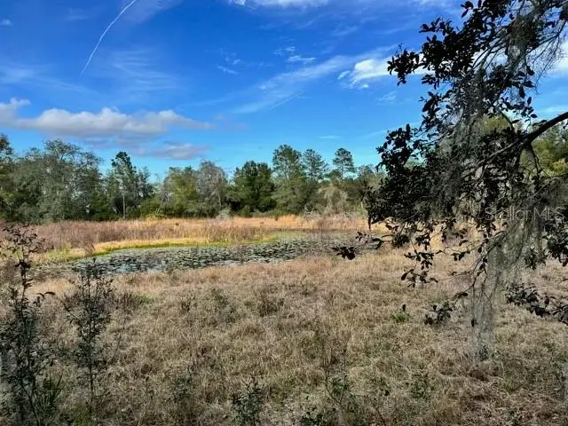 201 Lake Molly Avenue, Deland, FL 32724 - Image #3