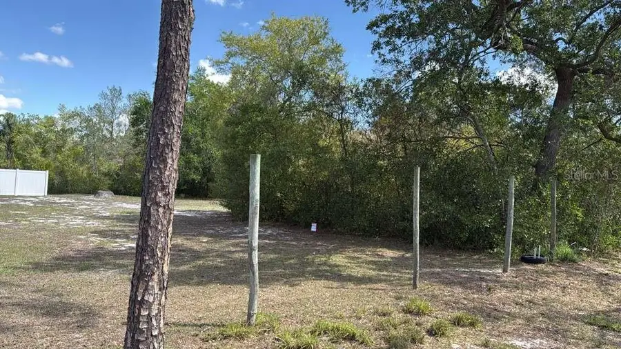 1105 Grapefruit Avenue, Sebring, FL 33870 - #3