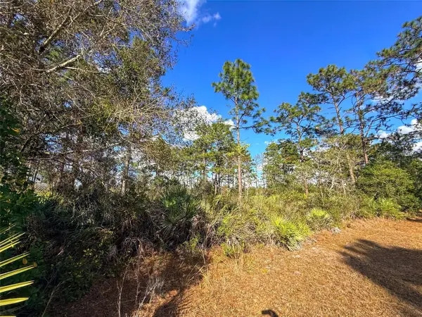 4135 Benedict Avenue, ORLANDO, FL 32833