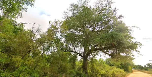 Tower Road, BASCOM, FL 32423