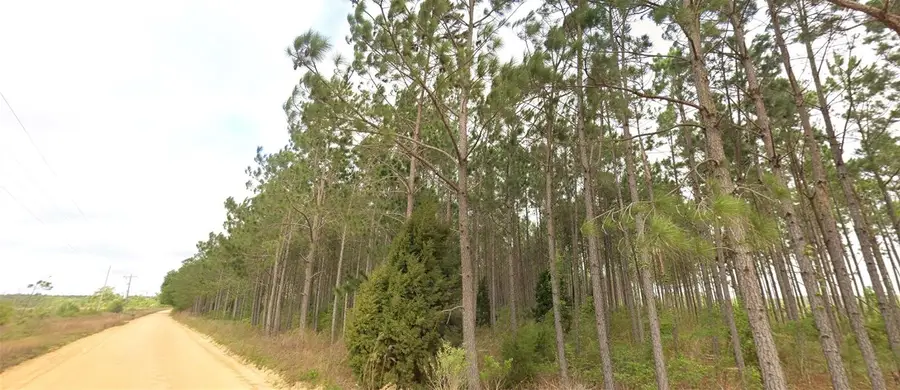 Tower Road, Bascom, FL 32423 - #2