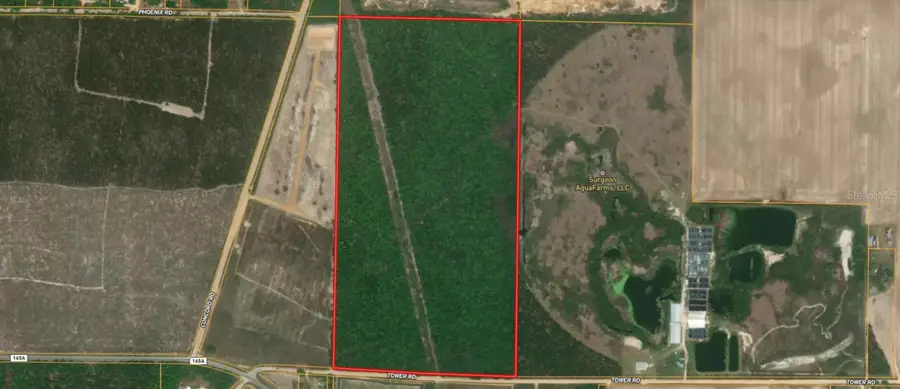 Tower Road, Bascom, FL 32423 - #3