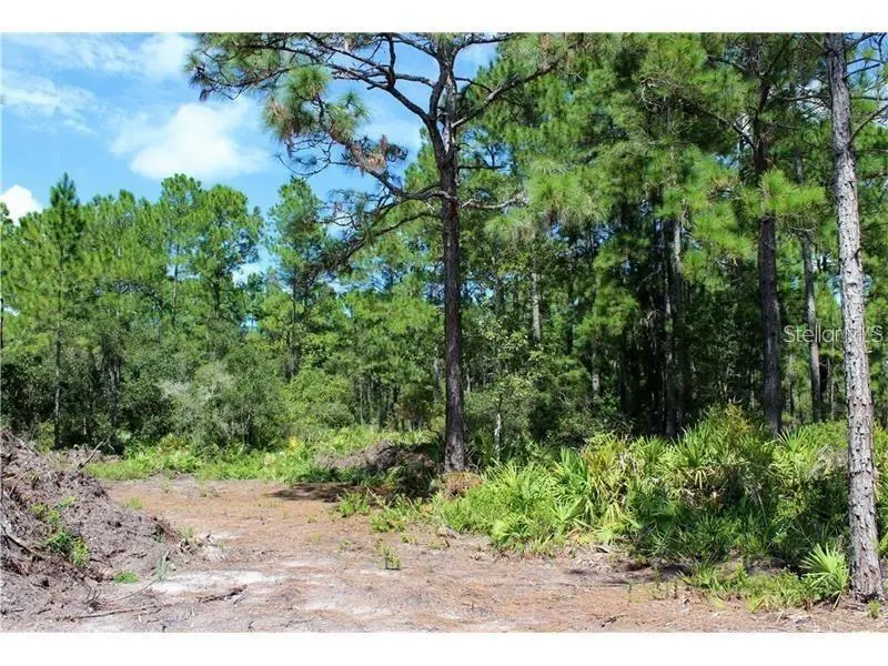 Apricot Avenue, Eustis, FL 32736 - Image #2