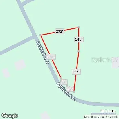 Apricot Avenue, Eustis, FL 32736 - Image #3