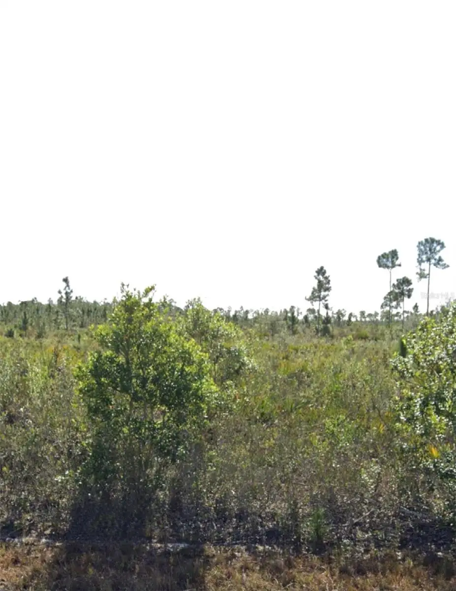 903 Calliandra Drive, Indian Lake Estates, FL 33855 - #1