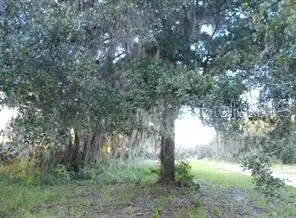 566 Sioux Boulevard, Oak Hill, FL 32759 - Image #1