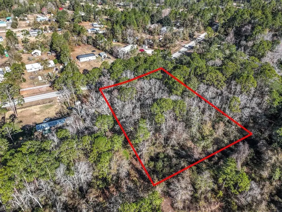 2223 Cosmos Avenue, Middleburg, FL 32068 - Image #2