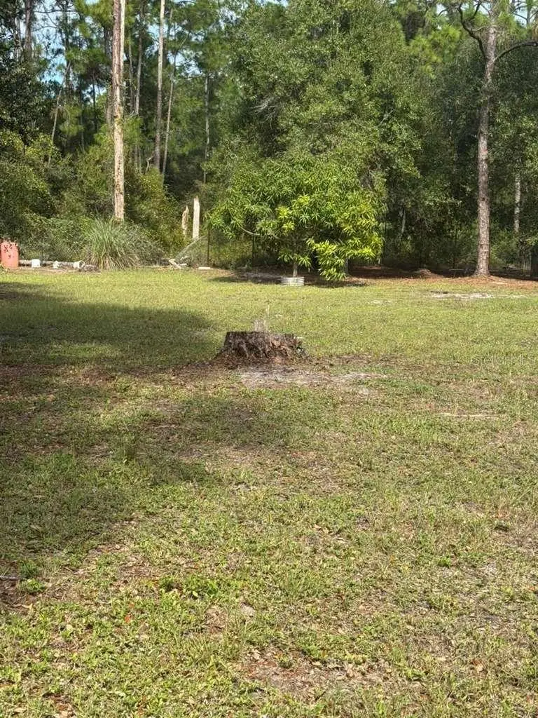 415 N Verda Street, Clewiston, FL 33440 - Image #3