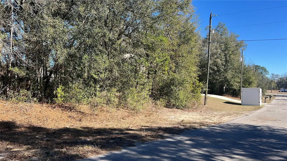 2559 W Castle Road, Citrus Springs, FL 34434 - Image #1