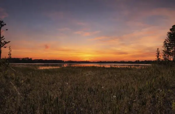 8335 Florida Boys Ranch Road, GROVELAND, FL 34736