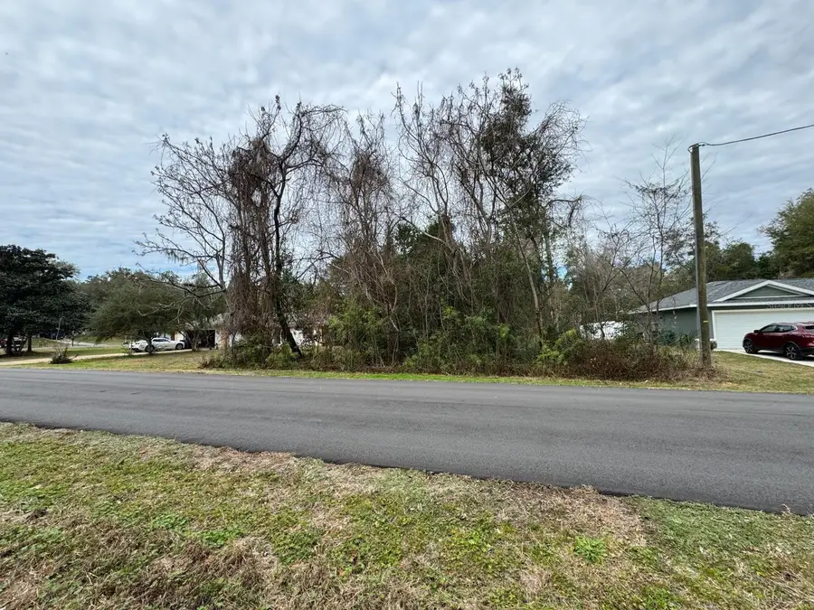 1037 W Kingsway Place, Citrus Springs, FL 34434 - #2