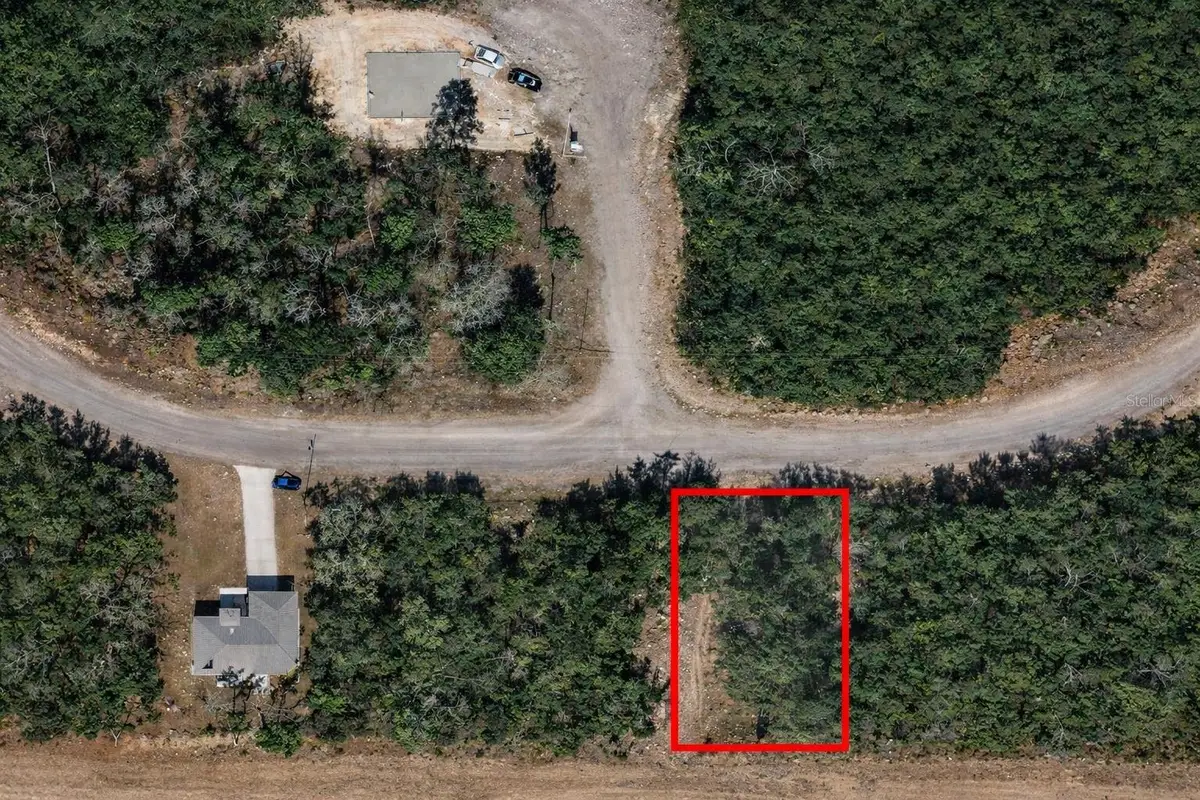 6975 N Lime Drive, Citrus Springs, FL 34433 - Image #1