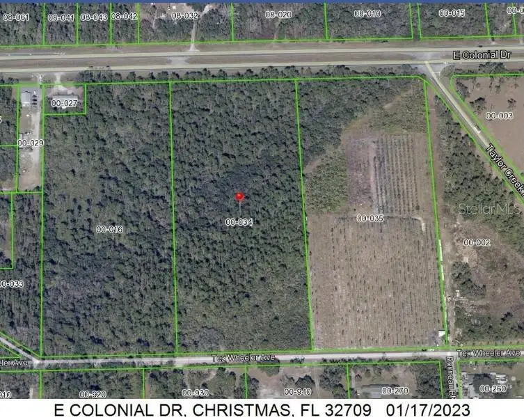 E Colonial Drive, Christmas, FL 32709 - #2