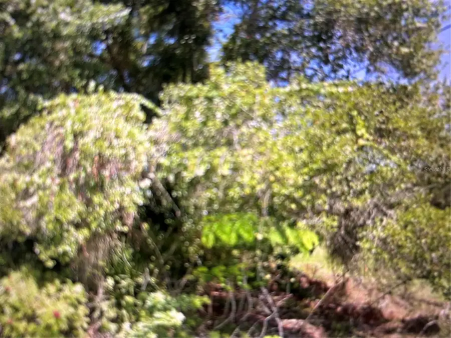 1697 Waneta St, Palm Bay, FL 32909 - Image #2