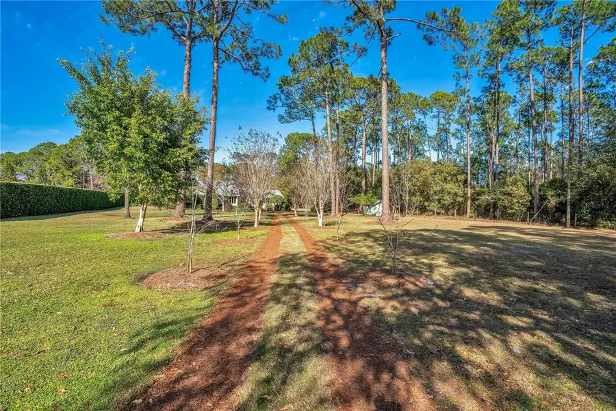 11451 Fangorn Road, Orlando, FL 32825 - #3