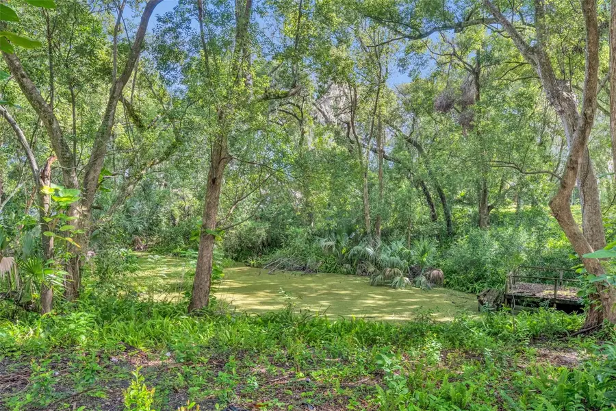 5825 Maggiore Trail, Zellwood, FL 32798 - Image #3