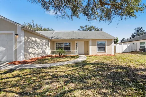 808 Scenic View Circle, MINNEOLA, FL 34715