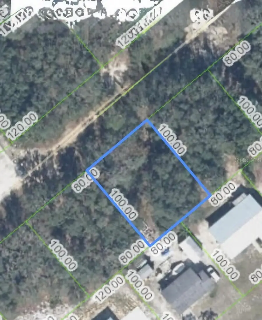 3171 W Maddox Road, Avon Park, FL 33825 - Image #3