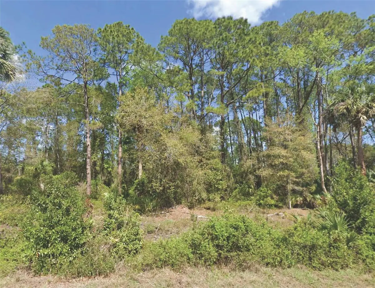 318 Redwood Boulevard, Georgetown, FL 32139 - Image #1