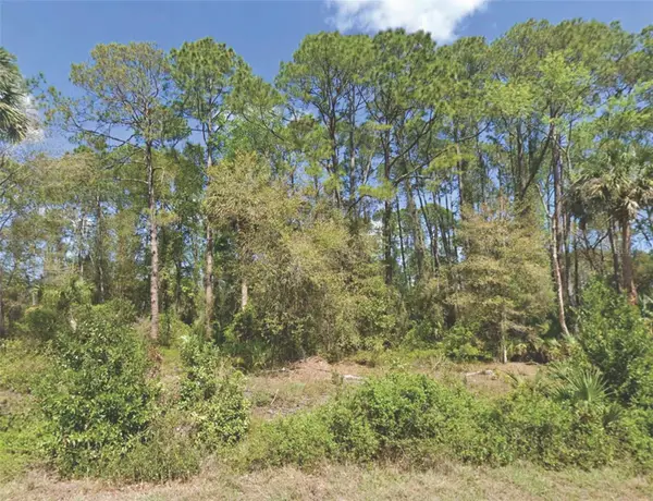 318 Redwood Boulevard, GEORGETOWN, FL 32139