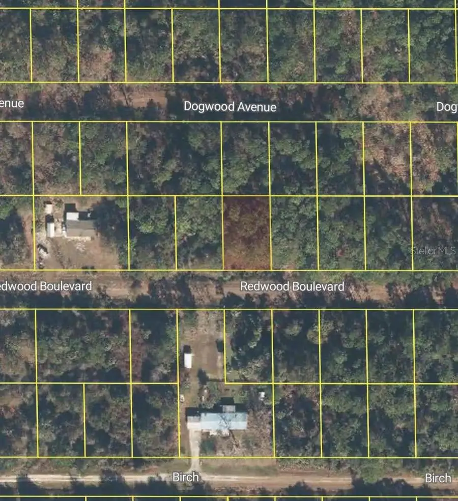 318 Redwood Boulevard, Georgetown, FL 32139 - Image #2