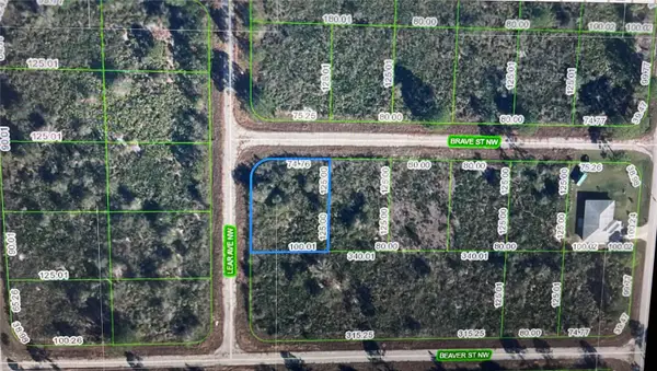 108 Lear Avenue Nw, LAKE PLACID, FL 33852