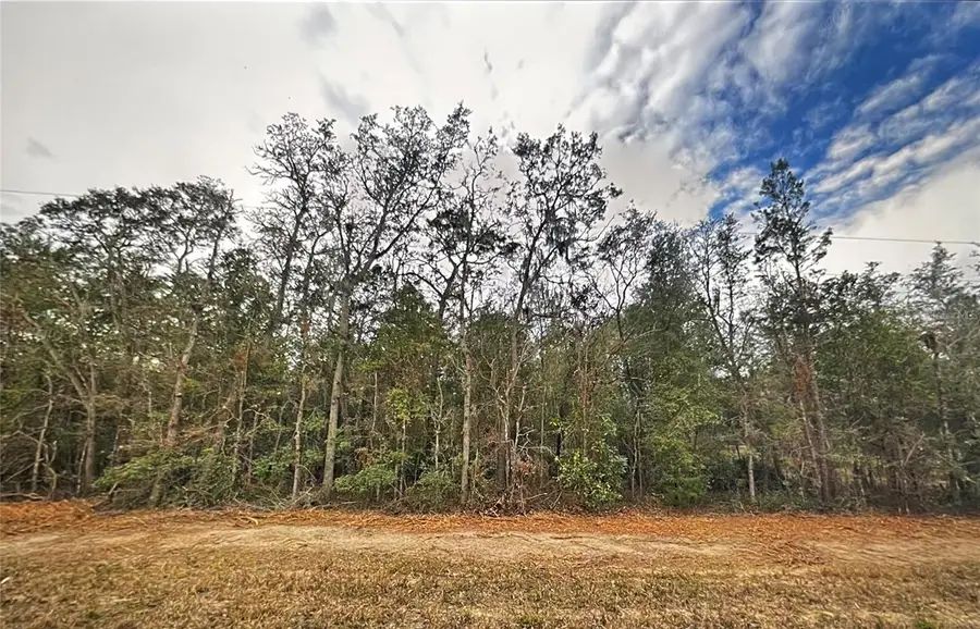 0 Usina Avenue, Interlachen, FL 32148 - #3