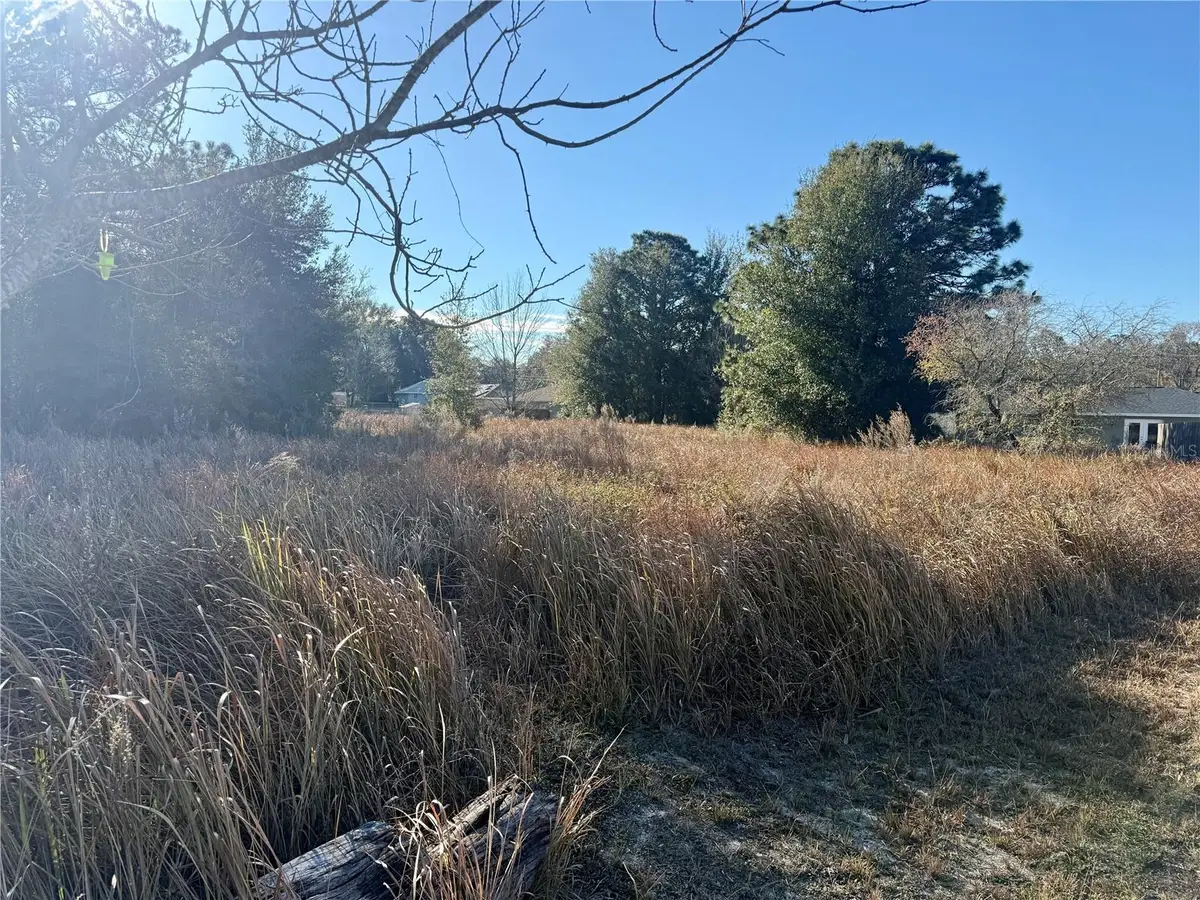 Dogwood Loop Court, Ocala, FL 34472 - Image #1