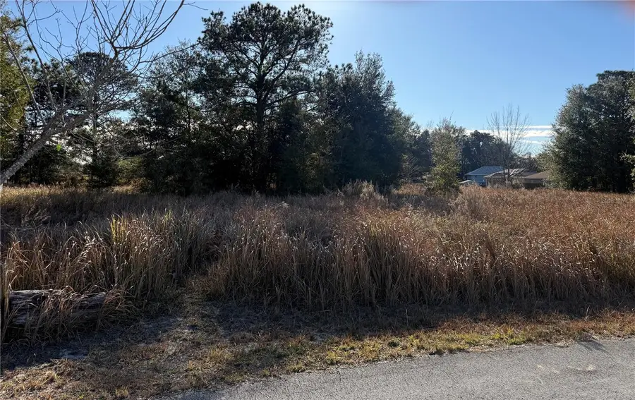 Dogwood Loop Court, Ocala, FL 34472 - Image #3