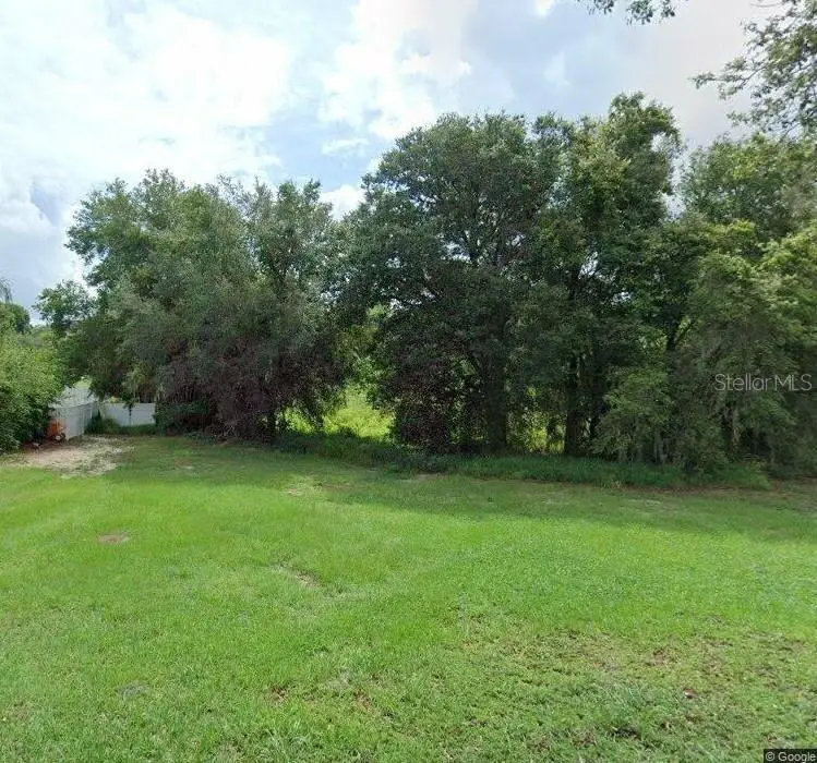 504 N Florida Avenue, Howey In The Hills, FL 34737 - #1