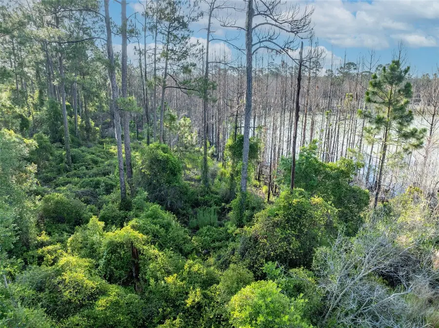 Melshire Avenue, Deltona, FL 32738 - #3