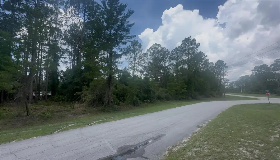 107 S Georgetown Point Road, Georgetown, FL 32139 - #2