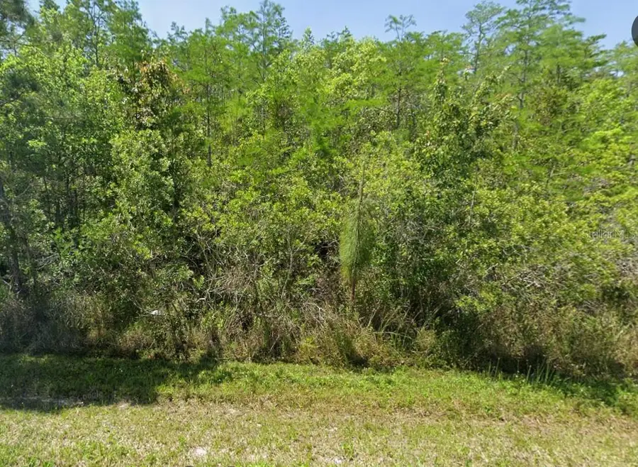 0 Pierre Ave, Saint Cloud, FL 34773 - #2