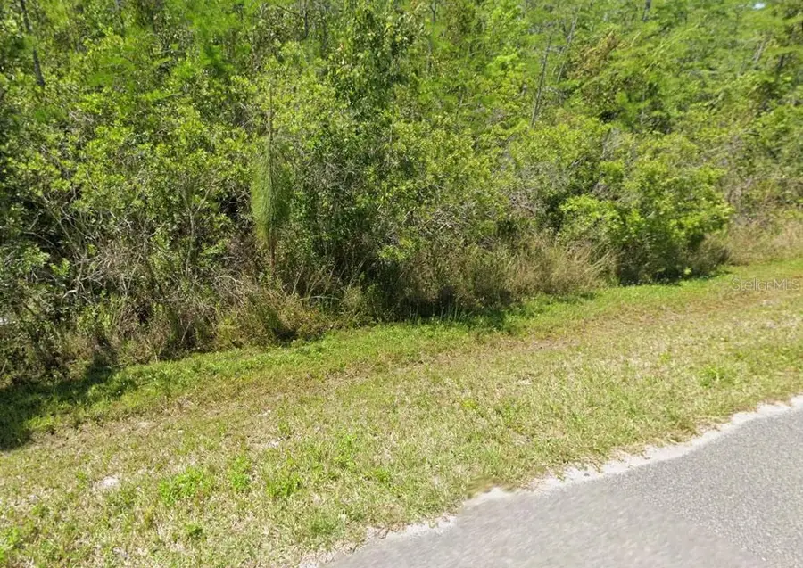 0 Pierre Ave, Saint Cloud, FL 34773 - #3