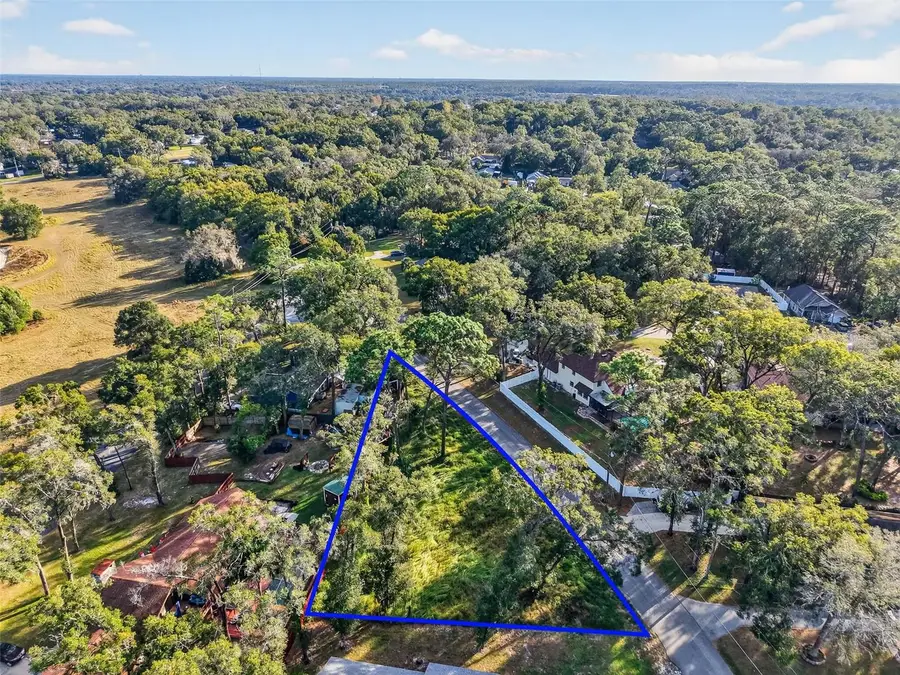 Apawamis Drive, Sorrento, FL 32776 - #2