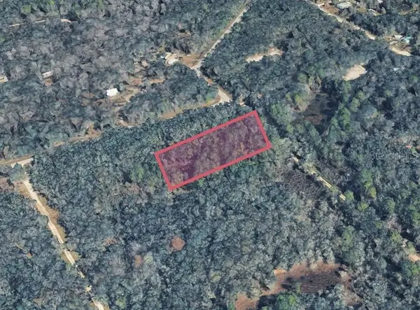 9211 Rousseau Street, WEBSTER, FL 33597