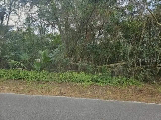 11119 Bessie Dix Road, Seffner, FL 33584 - #1