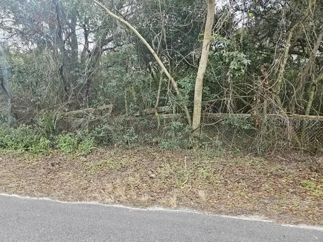 11119 Bessie Dix Road, Seffner, FL 33584 - #2