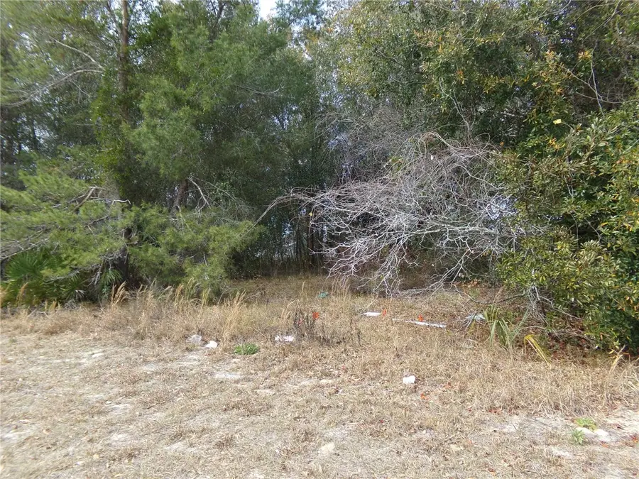 1680 Catalina Blvd, Deltona, FL 32738 - #2